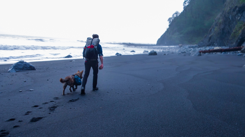 Illustration for article titled Adventure: California's Lost Coast